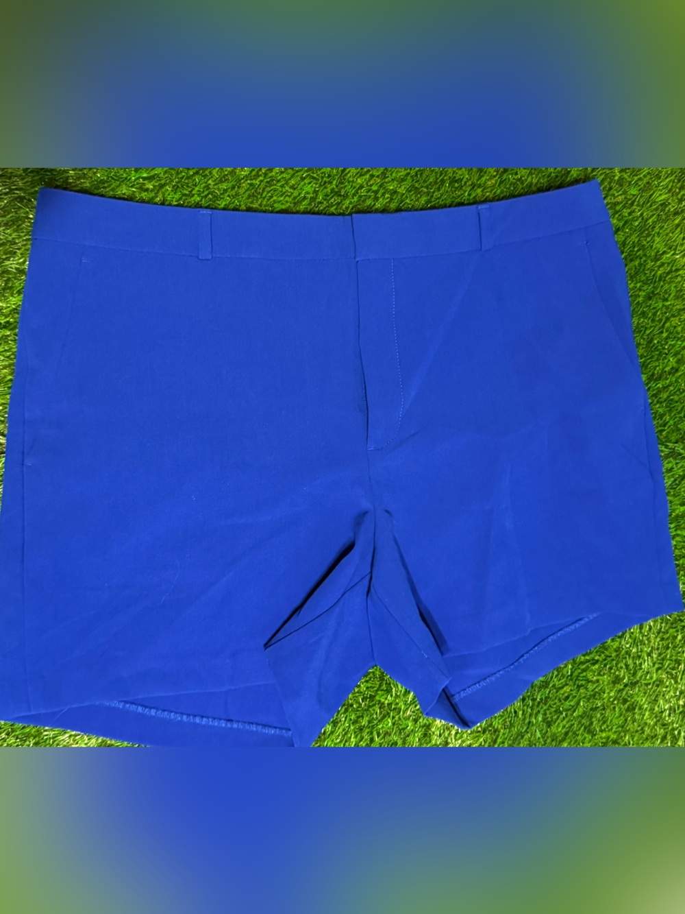 Banana Republic Royal Blue Women's Shorts